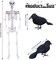 Posable Skeleton with Movable Joints Halloween Full Body Plastic Human Skeletons with 2PCS Black Crows for Halloween Indoor Outdoor Decor
